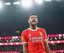 迈阿密赛19岁新星横扫斯瓦泰克