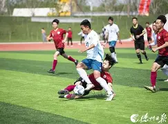 亚博官网-瑞典队经过激烈对抗获得一场胜利英语