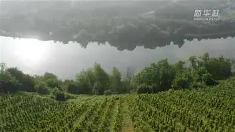 亚博体育官网-德国劲旅遭遇困境,惊现欧冠出局视频